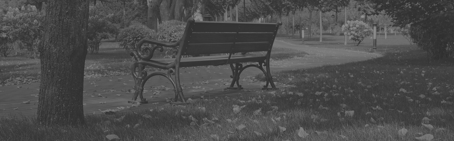 Bench beside a Twin Chimneys path